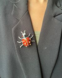 Prendedor Mariquita Roja y Negra