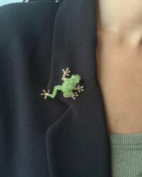 Prendedor Ranita Verde